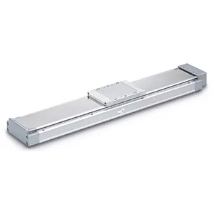 LEJS High Rigidity, Slider Type Motorsuz Elektrikli iş elemanı - LEJS