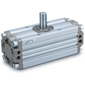 C(D)RA1-Z*30-100 C(D)RA1-Z*30-100, Döner iş elemanı, Kremayer ve pinyon, Standart