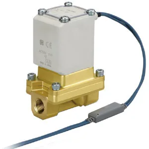 VXS2 VXS2, Pilot uyarılı 2 Port Solenoid valf for Steam