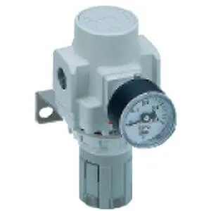ARP20/30/40 ARP20/30/40, Doğrudan uyarılı Precision Regülatör