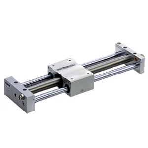 REAL REAL, Sine Rodless Cylinder, Slider Type, Ball Bushing