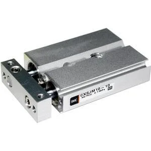 CXSJ CXSJ, Dual Rod Cylinder, Compact Type